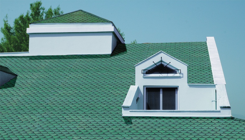 Karaburun profesyonel tonoz Çatı – Shingle cati örneği